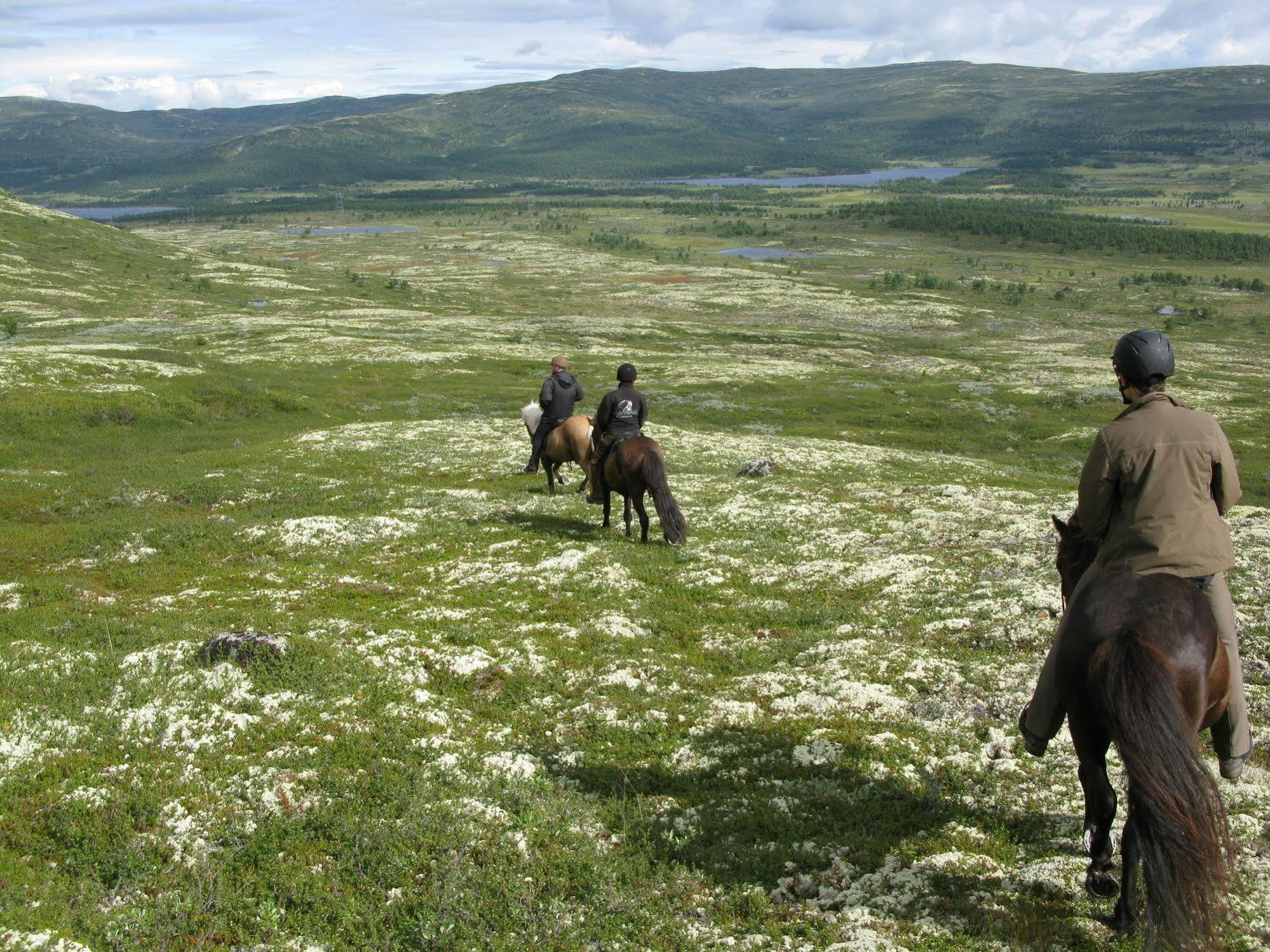 Dalseter Hoyfjellshotell Vinstra Bagian luar foto
