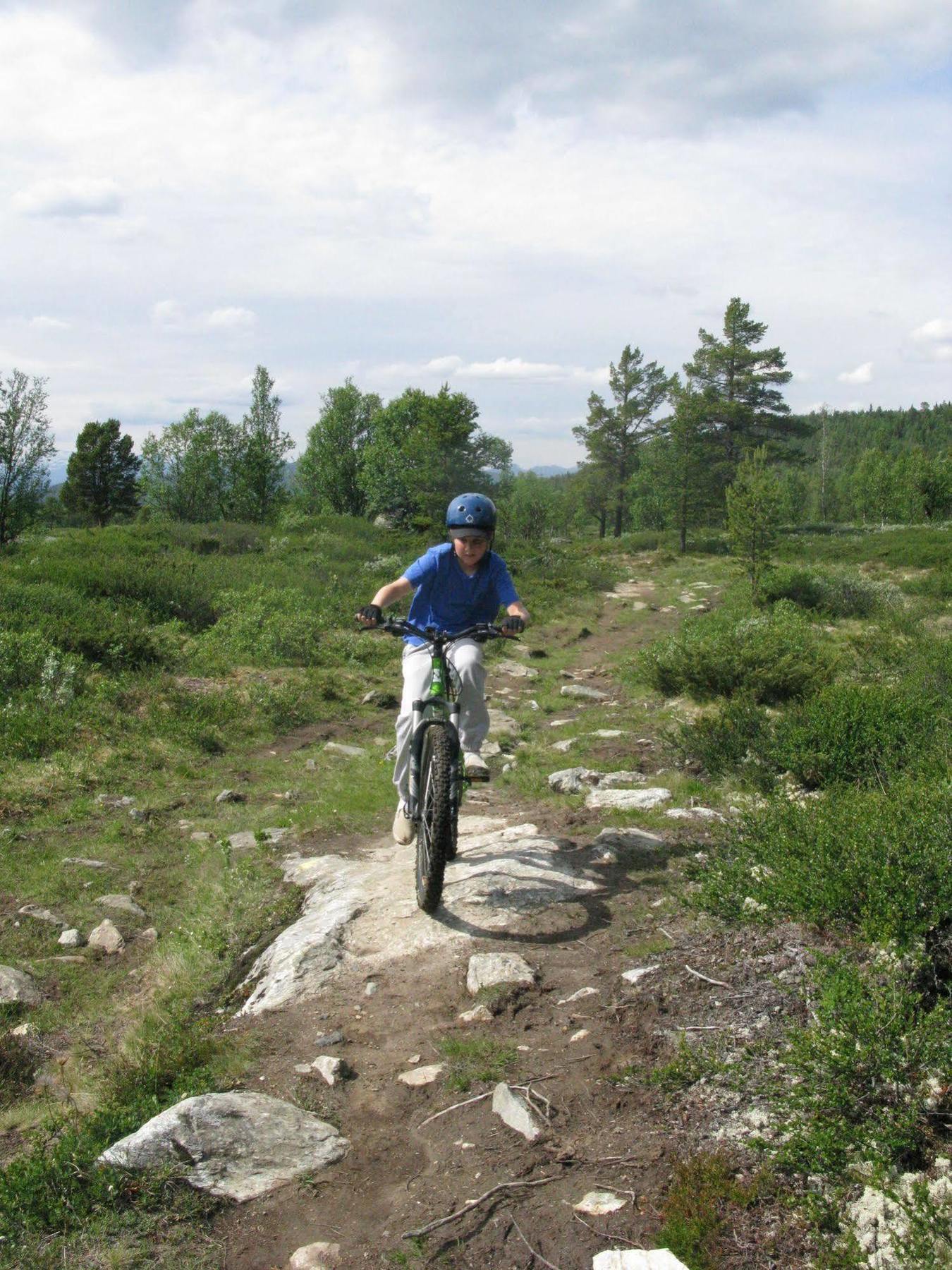 Dalseter Hoyfjellshotell Vinstra Bagian luar foto